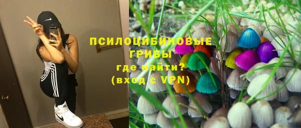 спайс Алзамай