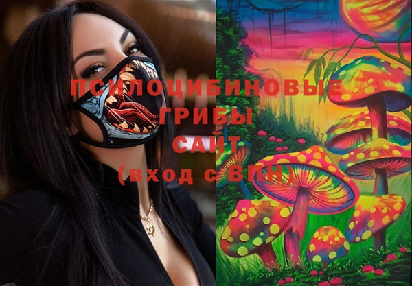 каннабис Алексеевка