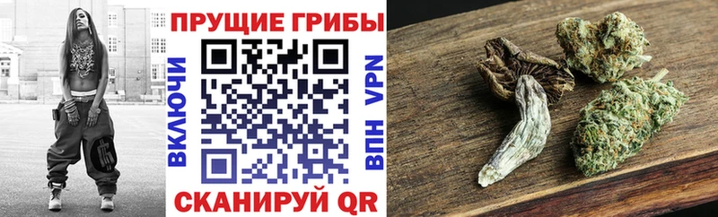 Псилоцибиновые грибы Magic Shrooms Павловский Посад