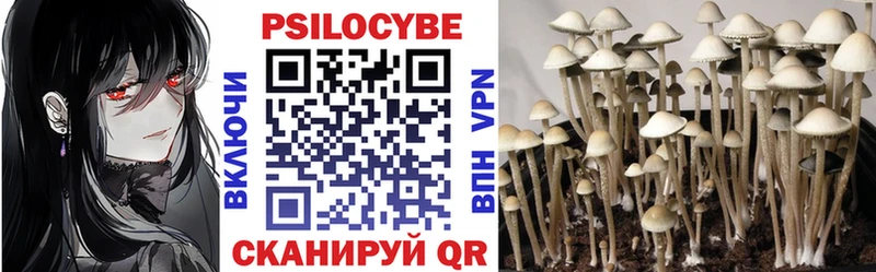 Галлюциногенные грибы Magic Shrooms  цена   Павловский Посад 